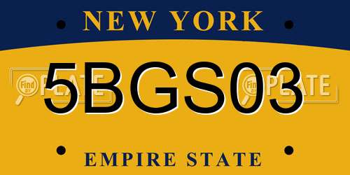5BGS03 New York License Plate