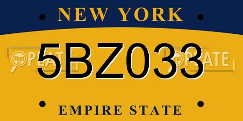 5BZ033 New York License Plate