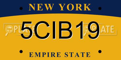 5CIB19 New York License Plate