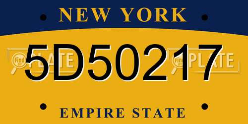 5D50217 New York License Plate