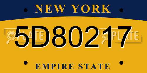 5D80217 New York License Plate