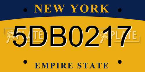 5DB0217 New York License Plate