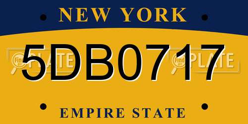 5DB0717 New York License Plate