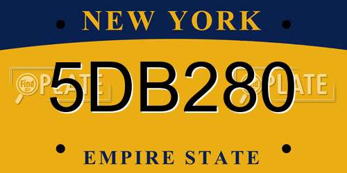5DB280 New York License Plate
