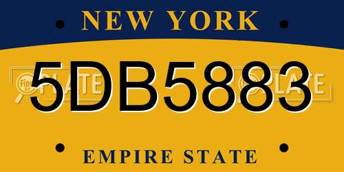 5DB5883 New York License Plate