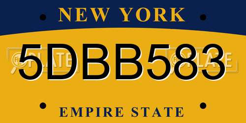 5DBB583 New York License Plate