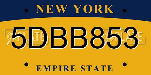 5DBB853 New York License Plate