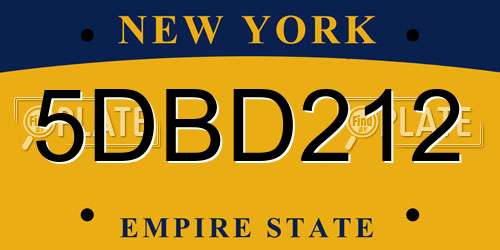 5DBD212 New York License Plate
