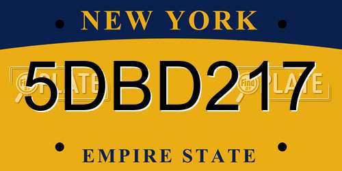 5DBD217 New York License Plate
