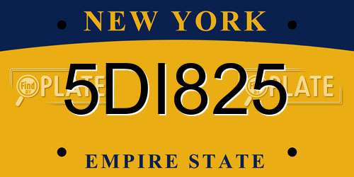 5DI825 New York License Plate