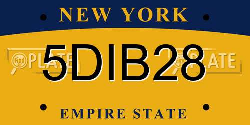 5DIB28 New York License Plate