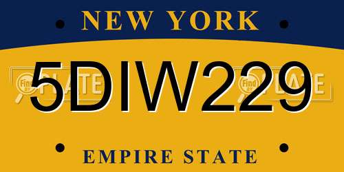 5DIW229 New York License Plate