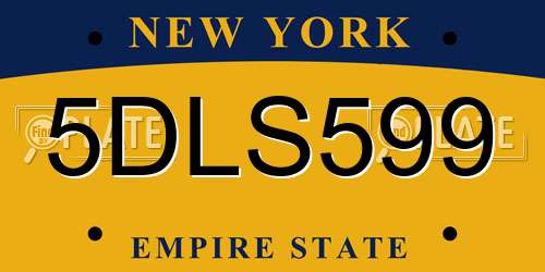 5DLS599 New York License Plate