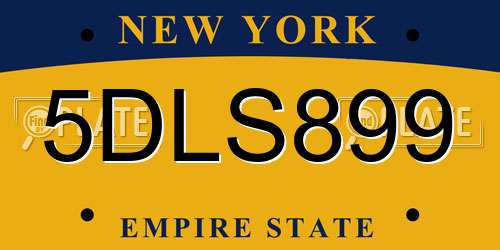 5DLS899 New York License Plate