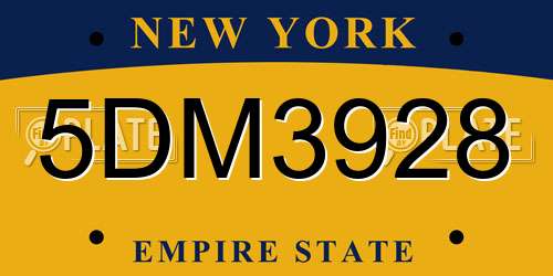 5DM3928 New York License Plate