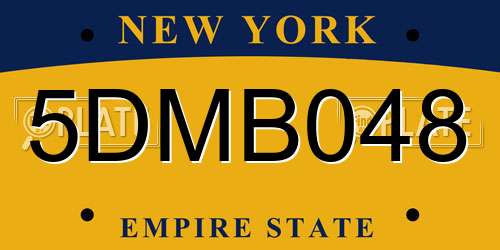 5DMB048 New York License Plate