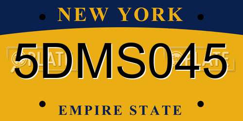 5DMS045 New York License Plate