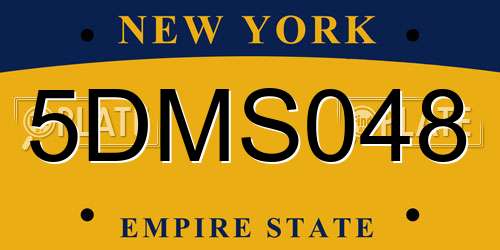 5DMS048 New York License Plate