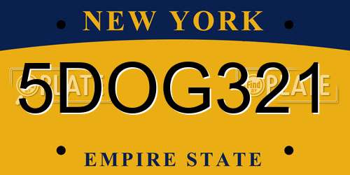 5DOG321 New York License Plate