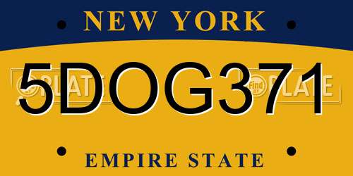 5DOG371 New York License Plate