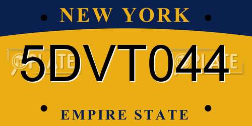 5DVT044 New York License Plate