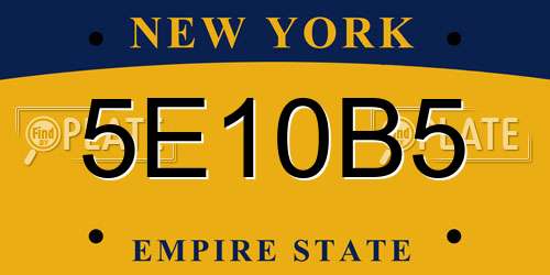5E10B5 New York License Plate