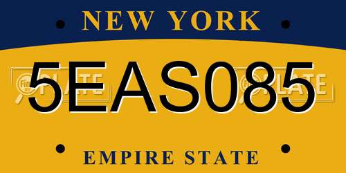 5EAS085 New York License Plate