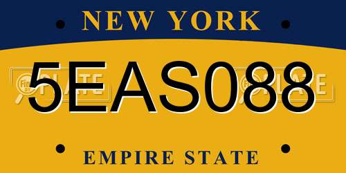 5EAS088 New York License Plate