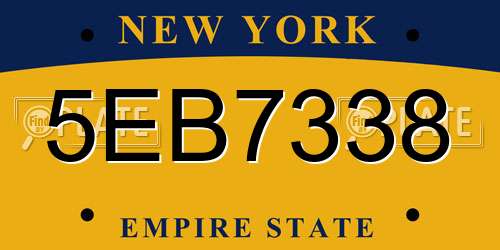 5EB7338 New York License Plate