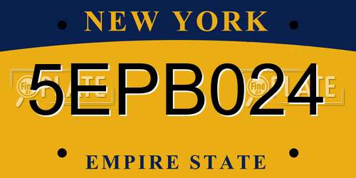 5EPB024 New York License Plate