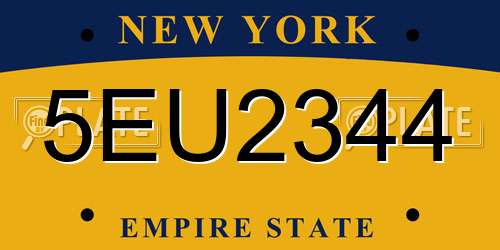 5EU2344 New York License Plate
