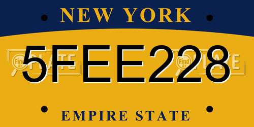 5FEE228 New York License Plate