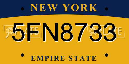 5FN8733 New York License Plate