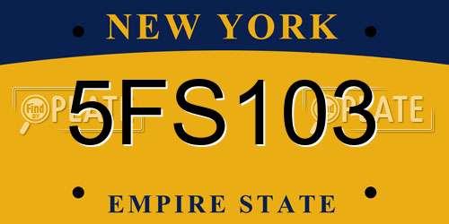 5FS103 New York License Plate