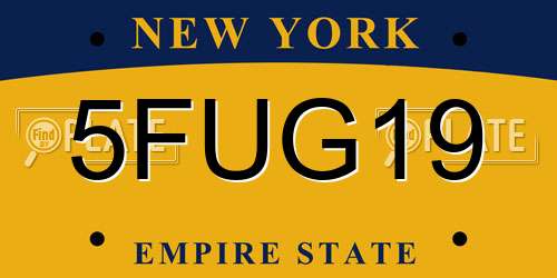 5FUG19 New York License Plate
