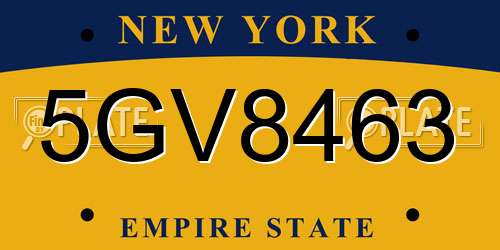 5GV8463 New York License Plate