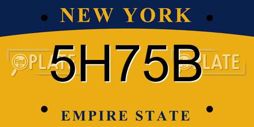 5H75B New York License Plate