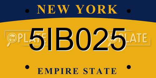 5IB025 New York License Plate
