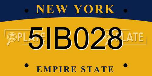 5IB028 New York License Plate