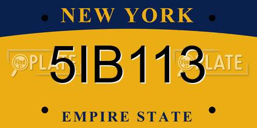 5IB113 New York License Plate