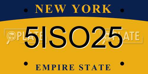 5ISO25 New York License Plate