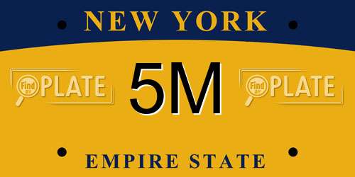 5M New York License Plate