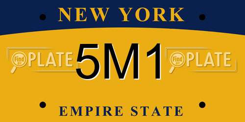 5M1 New York License Plate