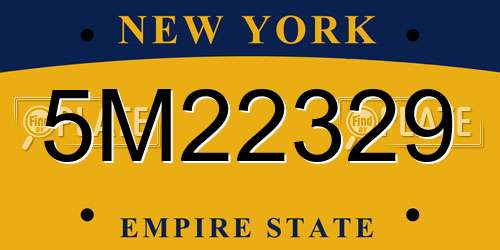5M22329 New York License Plate