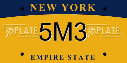 5M3 New York License Plate