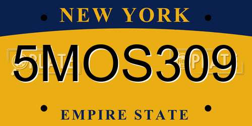 5MOS309 New York License Plate