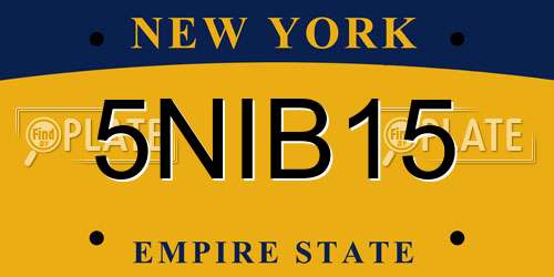 5NIB15 New York License Plate