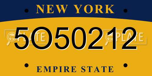 5O50212 New York License Plate