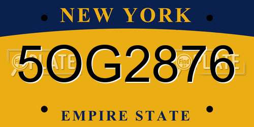 5OG2876 New York License Plate
