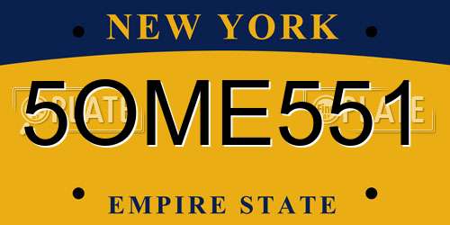 5OME551 New York License Plate